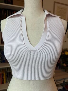 Aritzia Babaton top XS